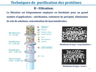 D - Filtration:
La filtration est fréquemment employée en biochimie pour un grand
nombre d'applications : stérilisation, isolement de précipité, élimination
de sels de solutions, concentration de macromolécules,
Techniques de purification des protéines
Membrane de type « en profondeur »
Membrane de type « écran »
31
 