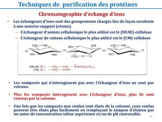 • Les échangeurs d'ions sont des groupements chargés liés de façon covalente
à une matrice-support (résine).
– L'échangeur d'anions cellulosique le plus utilisé est le (DEAE)-cellulose
– L'échangeur de cations cellulosique le plus utilisé est le (CM)-cellulose
Chromatographie d’échange d’ions
Techniques de purification des protéines
• Les composés qui n'interagissent pas avec l'échangeur d'ions ne sont pas
retenus.
• Plus les composés interagissent avec l'échangeur d'ions, plus ils sont
retenus par la colonne.
• Une fois que les composés non voulus sont élués de la colonne, ceux voulus
peuvent être élués plus facilement en remplaçant le tampon d'élution par
un autre de concentration saline supérieure et/ou de pH convenable. 42
 