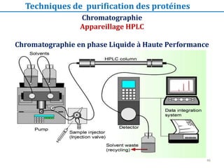 Chromatographie
Appareillage HPLC
Chromatographie en phase Liquide à Haute Performance
Techniques de purification des protéines
46
 