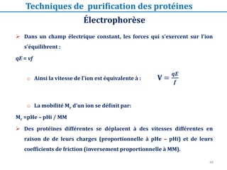Électrophorèse
Techniques de purification des protéines
 Dans un champ électrique constant, les forces qui s'exercent sur l'ion
s'équilibrent :
qE = vf
o Ainsi la vitesse de l'ion est équivalente à : V =
𝒒𝑬
𝒇
o La mobilité Mr d'un ion se définit par:
Mr =pHe – pHi / MM
 Des protéines différentes se déplacent à des vitesses différentes en
raison de de leurs charges (proportionnelle à pHe – pHi) et de leurs
coefficients de friction (inversement proportionnelle à MM).
48
 