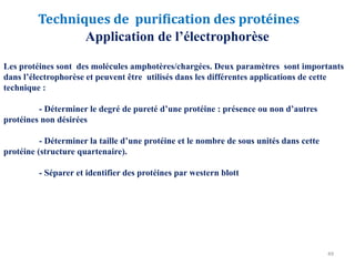 49
Application de l’électrophorèse
Les protéines sont des molécules amphotères/chargées. Deux paramètres sont importants
dans l’électrophorèse et peuvent être utilisés dans les différentes applications de cette
technique :
- Déterminer le degré de pureté d’une protéine : présence ou non d’autres
protéines non désirées
- Déterminer la taille d’une protéine et le nombre de sous unités dans cette
protéine (structure quartenaire).
- Séparer et identifier des protéines par western blott
Techniques de purification des protéines
 