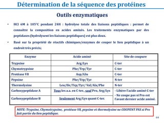 64
Enzyme Acide aminé Site de coupure
Trypsine Arg/Lys C-ter
Chymotrypsine Phe/Trp/Tyr C-ter
Protéase V8 Asp/Glu C-ter
Pepsine Phe/Trp/Tyr N-ter
Thermolysine Leu/Ile/Trp/Tyr/ Val/Ala/Phe N-ter
Carboxypeptidase A Tous les a.a. en C-ter., sauf Pro, Arg/Lys - Libère l’acide aminé C-ter
- Ne coupe pas si Pro est
l’avant dernier acide aminé.
Carboxypeptidase B Seulement Arg/Lys quant C-ter.
• HCl 6M à 105°C pendant 24H : hydrolyse totale des liaisons peptidiques : permet de
connaître la composition en acides aminés. Les traitements enzymatiques par des
peptidases (hydrolysent les liaisons peptidiques) est plus doux.
• Basé sur la propriété de réactifs chimiques/enzymes de couper le lien peptidique à un
endroit très précis;
NOTE: Trypsine, Chymotrypsine, protéase V8, pepsine et thermolysine ne COUPENT PAS si Pro
fait partie du lien peptidique.
Outils enzymatiques
Détermination de la séquence des protéines
 