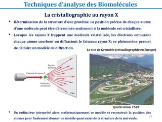 69
• Détermination de la structure d’une protéine. La position précise de chaque atome
d’une molécule peut être déterminée seulement si la molécule est cristallisée.
• Lorsque les rayons X frappent une molécule cristallisée, les électrons entourant
chaque atome courbent ou diffractent le faisceau rayon X; ce phénomène permet
de déduire un modèle de diffraction.
• Un ordinateur interprété alors mathématiquement ce modèle et reconstruit la position des
atomes pour finalement donner un modèle quasi exact de la structure de la mol écule.
La cristallographie au rayon X
Techniques d’analyse des Biomolécules
Synchrotron ESRF
Le site de Grenoble (cristallographie en Europe)
 