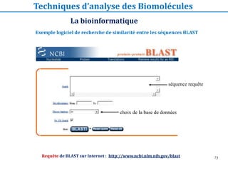 73
Requête de BLAST sur Internet : http://www.ncbi.nlm.nih.gov/blast
séquence requête
choix de la base de données
Exemple logiciel de recherche de similarité entre les séquences BLAST
La bioinformatique
Techniques d’analyse des Biomolécules
 