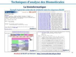 74
Exemple logiciel de recherche de similarité entre les séquences BLAST
La bioinformatique
Techniques d’analyse des Biomolécules
Résultats de BLAST sur Internet : http://www.ncbi.nlm.nih.gov/blast
Fenêtre 1 Fenêtre 3
Fenêtre 2 Fenêtre 4
 