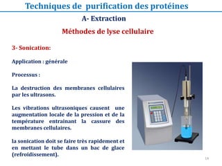 3- Sonication:
Application : générale
Processus :
La destruction des membranes cellulaires
par les ultrasons.
Les vibratio...