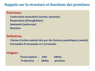 Fonctions:
Contraction musculaire (actine, myosine)
Respiration (hémoglobine)
Immunité (anticorps)
Enzymes
Définition:
Cha...