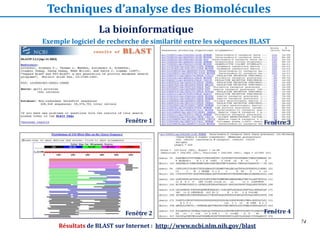 74
Exemple logiciel de recherche de similarité entre les séquences BLAST
La bioinformatique
Techniques d’analyse des Biomo...