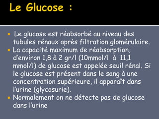  Le glucose est réabsorbé au niveau des
tubules rénaux après filtration glomérulaire.
 La capacité maximum de réabsorption,
d’environ 1,8 à 2 gr/l (10mmol/l à 11,1
mmol/l) de glucose est appelée seuil rénal. Si
le glucose est présent dans le sang à une
concentration supérieure, il apparaît dans
l’urine (glycosurie).
 Normalement on ne détecte pas de glucose
dans l’urine
 