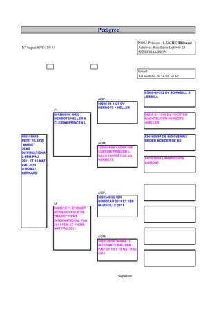 N° bague:8005159/13
AGP.
P.
AGM.
AGP.
M.
AGM.
Signature:
Pedigree
8013869/06 ORIG
HERBOTS/HELLER X
CLERINX/PRINCEN L
Email:
Tél mobile: 0474/86 58 52
NOM-Prénom : LESIRE Thibaud
Adresse : Rue Léon Lefèvre 21
5020 CHAMPION
08228-03-1327 DV
HERBOTS + HELLER
5259944/98 VADER 600
CLERINX/PRINCEN L
RECU EN PRÊT DE JO
HERBOTS
8002346/09 1ER
BORDEAU 2011 ET 1ER
MARSEILLE 2011
8002326/09 "MARIE"7
INTERNATIONAL FEM
PAU 2011 ET 15 NAT PAU
2011
8003015/11 D'HONDT
BERNARD FILLE DE
"MARIE" 7 EME
INTERNATIONAL PAU
2011 FEM ET 15EME
NAT PAU 2011
8005159/13
PETIT FILS DE
"MARIE"
7EME
INTERNATIONA
L FEM PAU
2011 ET 15 NAT
PAU 2011
D'HONDT
BERNARD
07998-99-252 DV SOHN BILL X
JESSICA
08228-01-1046 DV TOCHTER
NACHTFLIGER HERBOTS
+HELLER
5241600/87 DE 600 CLERINX
BROER MOEDER DE AS
5179818/95 LAMBRECHTS
LISMONT
 