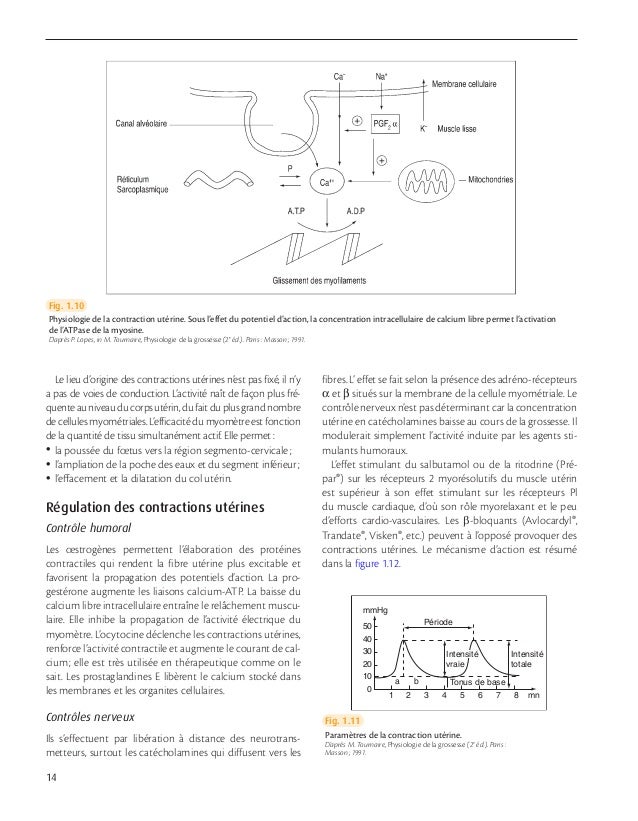 Mecanisme general de laccouchement pdf