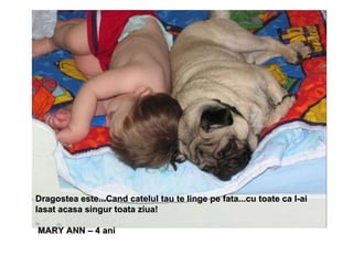Dragostea este...Cand catelul tau te linge pe fata...cu toate ca l-ai lasat acasa singur toata ziua! MARY ANN – 4 ani 