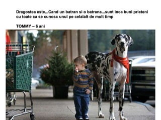 Dragostea este...Cand un batran si o batrana...sunt inca buni prieteni cu toate ca se cunosc unul pe celalalt de mult timp TOMMY – 6 ani   