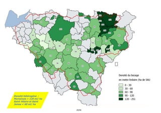 29/94
Densité hétérogène :
Mortainais > 120 ml/ ha
Saint-Hilaire et Saint-
James < 60 ml/ ha
 