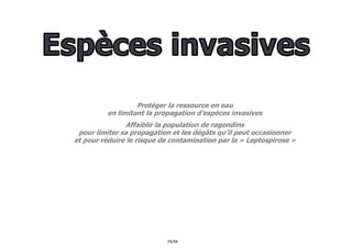 79/94
Protéger la ressource en eau
en limitant la propagation d’espèces invasives
Affaiblir la population de ragondins
pour limiter sa propagation et les dégâts qu’il peut occasionner
et pour réduire le risque de contamination par la « Leptospirose »
 