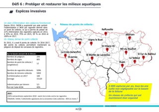 80/94
Un plan d’élimination des cadavres fonctionnel
Depuis 2014, l’AESN a augmenté son aide portant
l’indemnisation à 3€50 par ragondin éliminé dans
un point de collecte, ce qui a permis de passer de
21% d’élimination des ragondins capturés en 2013,
à 43% en 2014, 75% en 2015, 94 % en 2016 et
100% en 2017.
Un réseau dense de point collecte
En 2015, il y avait 8 points de collecte. En 2016-2017,
12 points de collecte permettent maintenant au
piégeurs de déposé les carcasses de ragondins.
Espèces invasives
Sources : FDGDON 50
Défi 6 : Protéger et restaurer les milieux aquatiques
 Réseau de points de collecte :
Sur le bassin versant de la Sélune :
Nombre de piégeurs 243
Nombre de cages 805
Nombre de point de collecte /
congélateurs
12
Nombre de ragondins déclarés 5096
Nombre de témoins collectés 5003
% d'élimination en 2017 100
tonnage 15120
Indemnisation par témoin 3,5
Part de l'aide AESN 40%
2019 :
COPIL extraordinaire septembre 2018 : avenir de la lutte contre les ragondins
FDGDON / AESN / Collectivités signataires de la convention lutte collective : 40% en moins ?
5 000 captures par an, tous les ans
Lutte non négligeable sur le bassin
de la Sélune
Un réseau de collecte qui est
maintenant bien organisé
 