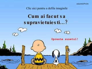 Cum ai facut sa supravietuiesti…? Opreste sunetul! Clic aici pentru a defila imaginile 