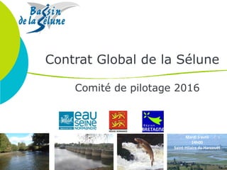 Contrat Global de la Sélune
Comité de pilotage 2016
Mardi 5 avril
14h00
Saint-Hilaire du Harcouët
 