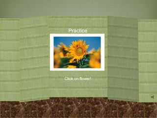 Practice
Click on flower!
 