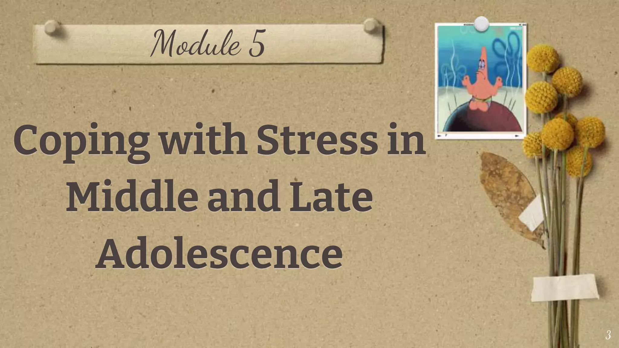 Coping with stress in middle and late adolescence | PPTX