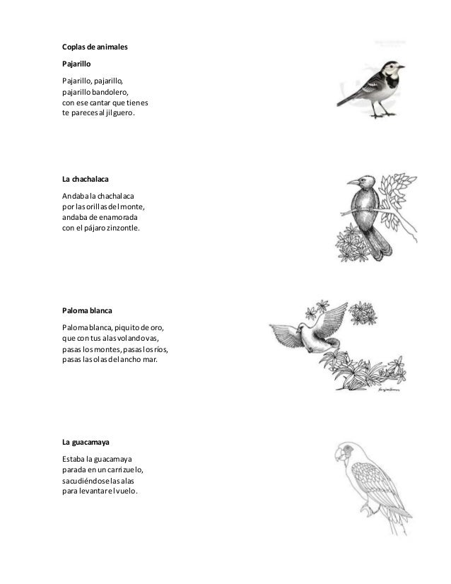 Coplas De Animales Para Nios | coplas de animales Coplas De Animales Para Nios | coplas de animales