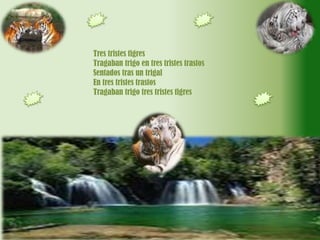 Tres tristes tigres Tragaban trigo en tres tristes trastos Sentados tras un trigalEn tres tristes trastos Tragaban trigo tres tristes tigres