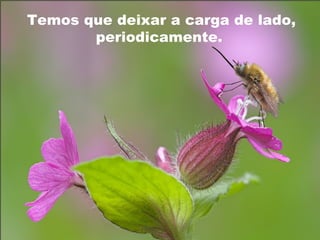 Temos que deixar a carga de lado,
periodicamente.
 