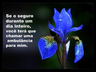 Se o seguro
durante um
dia inteiro,
você terá que
chamar uma
ambulância
para mim.
 