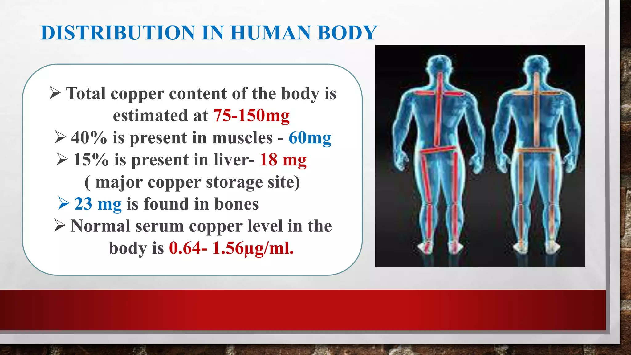 DISTRIBUTION IN HUMAN BODY
• Μ
 Total copper content of the body is
estimated at 75-150mg
 40% is present in muscles - 60mg
 15% is present in liver- 18 mg
( major copper storage site)
 23 mg is found in bones
 Normal serum copper level in the
body is 0.64- 1.56µg/ml.
 
