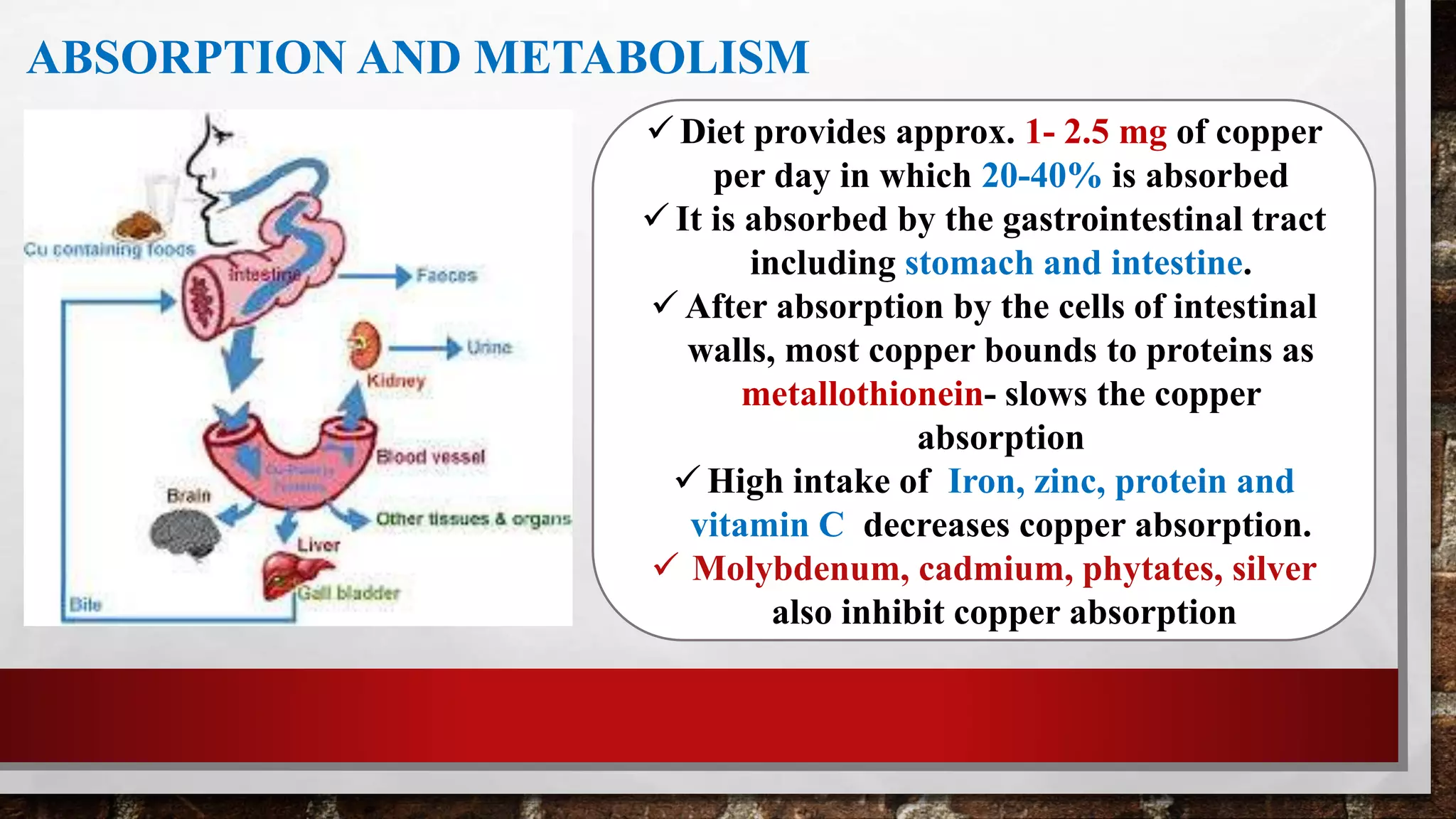 ABSORPTION AND METABOLISM
 Diet provides approx. 1- 2.5 mg of copper
per day in which 20-40% is absorbed
 It is absorbed by the gastrointestinal tract
including stomach and intestine.
 After absorption by the cells of intestinal
walls, most copper bounds to proteins as
metallothionein- slows the copper
absorption
 High intake of Iron, zinc, protein and
vitamin C decreases copper absorption.
 Molybdenum, cadmium, phytates, silver
also inhibit copper absorption
 