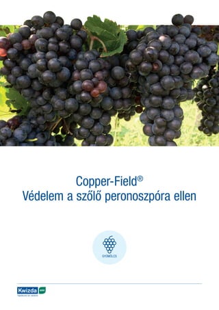 Copper-Field®
Védelem a szőlő peronoszpóra ellen
AGRO
Táplálunk és védünk
 