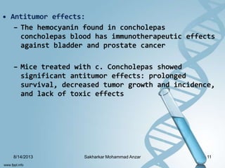 • Antitumor effects:
– The hemocyanin found in concholepas
concholepas blood has immunotherapeutic effects
against bladder and prostate cancer
– Mice treated with c. Concholepas showed
significant antitumor effects: prolonged
survival, decreased tumor growth and incidence,
and lack of toxic effects
8/14/2013 11Sakharkar Mohammad Anzar
 