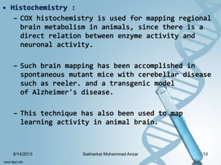 • Histochemistry :
– COX histochemistry is used for mapping regional
brain metabolism in animals, since there is a
direct relation between enzyme activity and
neuronal activity.
– Such brain mapping has been accomplished in
spontaneous mutant mice with cerebellar disease
such as reeler. and a transgenic model
of Alzheimer's disease.
– This technique has also been used to map
learning activity in animal brain.
8/14/2013 13Sakharkar Mohammad Anzar
 