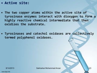 • Active site:
• The two copper atoms within the active site of
tyrosinase enzymes interact with dioxygen to form a
highly reactive chemical intermediate that then
oxidizes the substrate.
• Tyrosinases and catechol oxidases are collectively
termed polyphenol oxidases.
8/14/2013 23Sakharkar Mohammad Anzar
 