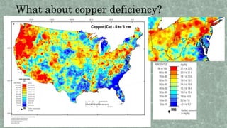 What about copper deficiency?
 