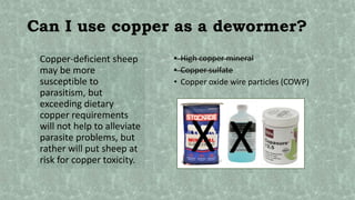 Can I use copper as a dewormer?
• High copper mineral
• Copper sulfate
• Copper oxide wire particles (COWP)
Copper-deficient sheep
may be more
susceptible to
parasitism, but
exceeding dietary
copper requirements
will not help to alleviate
parasite problems, but
rather will put sheep at
risk for copper toxicity.
 