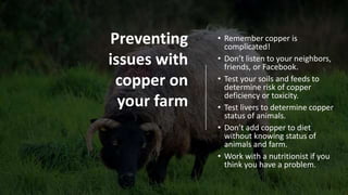 • Remember copper is
complicated!
• Don’t listen to your neighbors,
friends, or Facebook.
• Test your soils and feeds to
determine risk of copper
deficiency or toxicity.
• Test livers to determine copper
status of animals.
• Don’t add copper to diet
without knowing status of
animals and farm.
• Work with a nutritionist if you
think you have a problem.
Preventing
issues with
copper on
your farm
 
