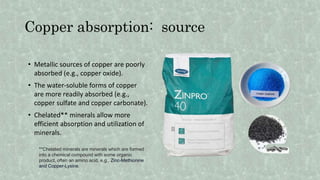 Copper absorption: source
• Metallic sources of copper are poorly
absorbed (e.g., copper oxide).
• The water-soluble forms of copper
are more readily absorbed (e.g.,
copper sulfate and copper carbonate).
• Chelated** minerals allow more
efficient absorption and utilization of
minerals.
**Chelated minerals are minerals which are formed
into a chemical compound with some organic
product, often an amino acid, e.g., Zinc-Methionine
and Copper-Lysine.
 