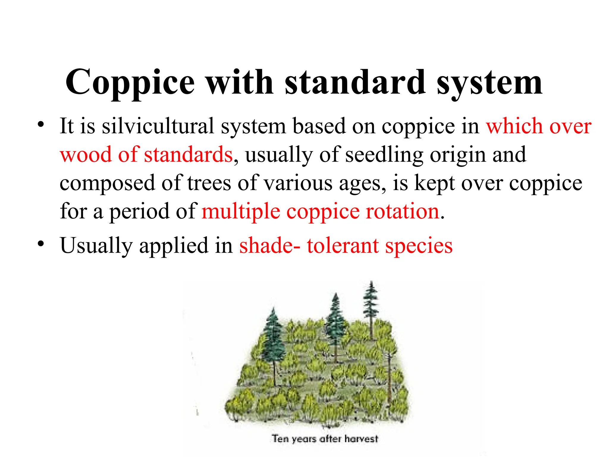 Coppice with standard system
• It is silvicultural system based on coppice in which over
wood of standards, usually of seedling origin and
composed of trees of various ages, is kept over coppice
for a period of multiple coppice rotation.
• Usually applied in shade- tolerant species
 