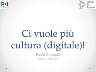 Ci vuole più
cultura (digitale)!
Paolo Coppola
Deputato PD

 