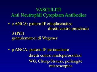 VASCULITI Anti Neutrophil Cytoplasm Antibodies c ANCA: pattern IF citoplasmatico   diretti contro proteinasi 3 (Pr3)   granulomatosi di Wegener p ANCA: pattern IF perinucleare  diretti contro mieloperossidasi WG, Churg-Strauss, poliangite    microscopica  