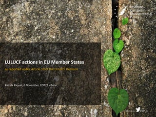 www.ieep.eu @IEEP_eu
LULUCF actions in EU Member States
as reported under Article 10 of the LULUCF Decision
Kamila Paquel, 6 November, COP23 - Bonn
 