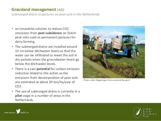 www.ieep.eu @IEEP_eu
Grassland management (4/6)
Submerged drains in pastures on peat soils in the Netherlands
• an innovat...