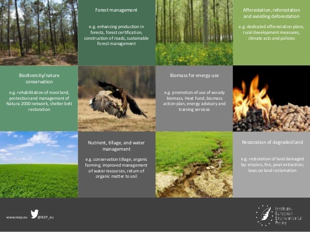 www.ieep.eu @IEEP_eu
Biodiversity/nature
conservation
e.g. rehabilitation of moorland,
protection and management of
Natura...