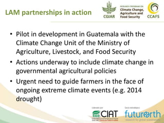 • Pilot in development in Guatemala with the
Climate Change Unit of the Ministry of
Agriculture, Livestock, and Food Security
• Actions underway to include climate change in
governmental agricultural policies
• Urgent need to guide farmers in the face of
ongoing extreme climate events (e.g. 2014
drought)
LAM partnerships in action
 