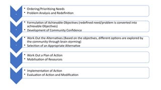 Community Organization and ir principle PPT.pptx