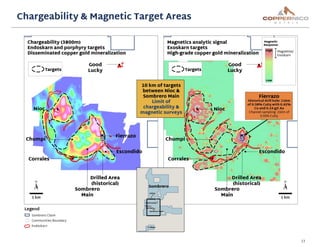 13
Chargeability & Magnetic Target Areas
 