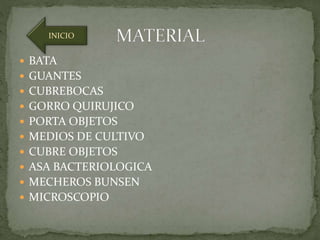 INICIO 
 BATA 
 GUANTES 
 CUBREBOCAS 
 GORRO QUIRUJICO 
 PORTA OBJETOS 
 MEDIOS DE CULTIVO 
 CUBRE OBJETOS 
 ASA BACTERIOLOGICA 
 MECHEROS BUNSEN 
 MICROSCOPIO 
 