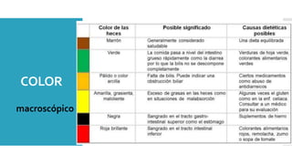 COLOR
macroscópico
 