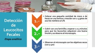 Detección
de
Leucocitos
Fecales
1.-
• Colocar una pequeña cantidad de moco o de
heces en una lamina y mezclar con 2-3 gotas de
azul de metileno al 1%
2.-
• Cubrir con una laminilla y esperar 2 a 3 minutos
para que los leucocitos adquieran una buena
tinción y se observa al microscopio.
3.-
• Observar al microscopio con los objetivos secos
(10x y 40x)
Etapa analítica
 